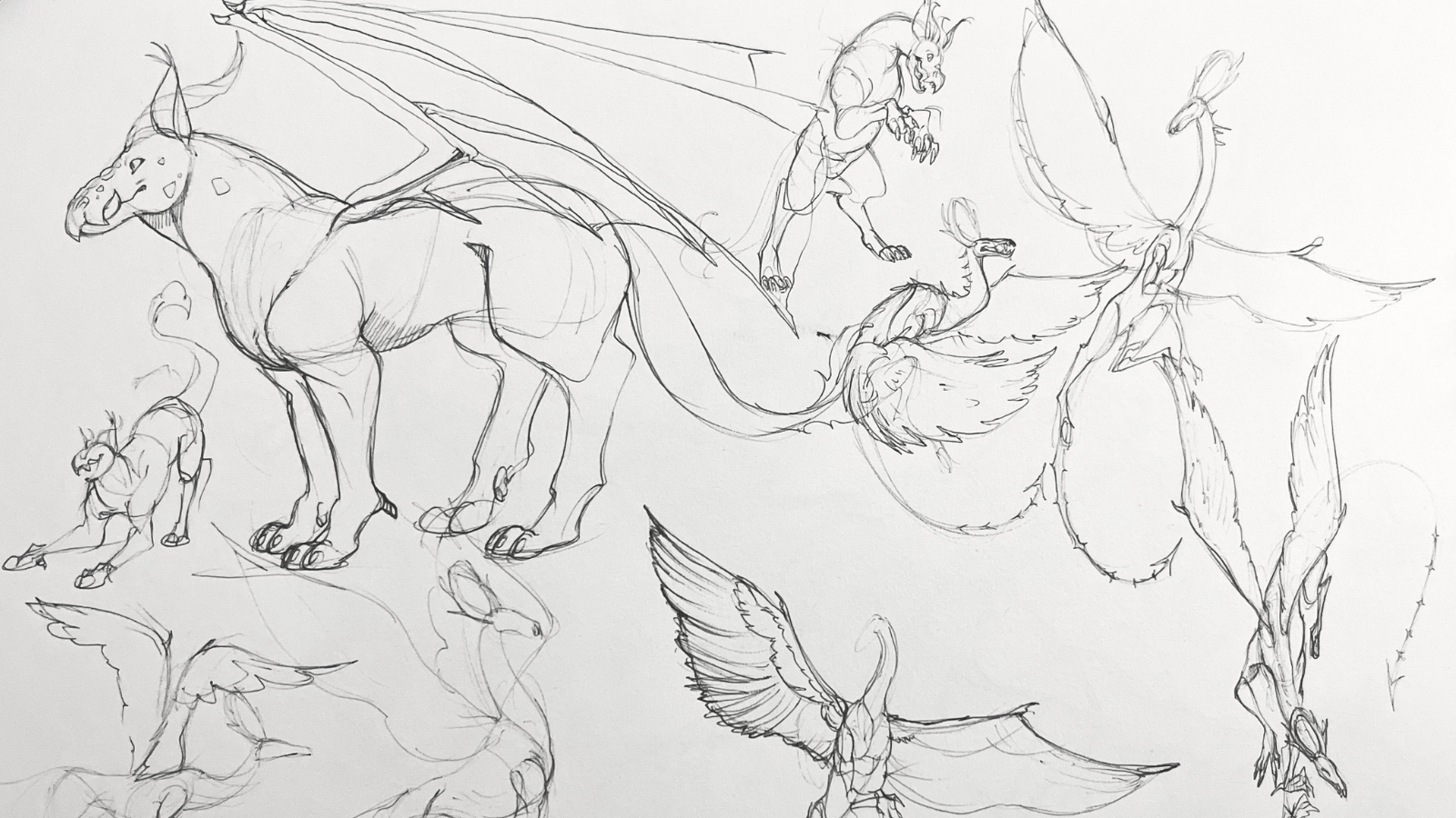Dragon sketches on paper using pencil.